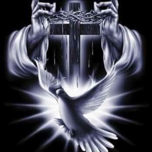 Meet your Posher, Warren